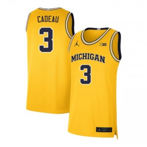 #3 Elliot Cadeau University of Michigan Maize Mens Jersey 2025-26 College Basketball 658020-477