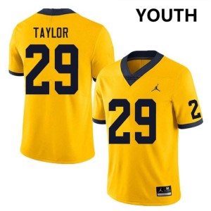 #29 Chase Taylor Michigan Yellow Youth Jersey High School College Football 655304-695